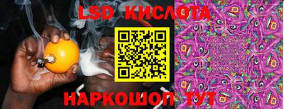 apvp Гатчина