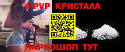 apvp Гатчина