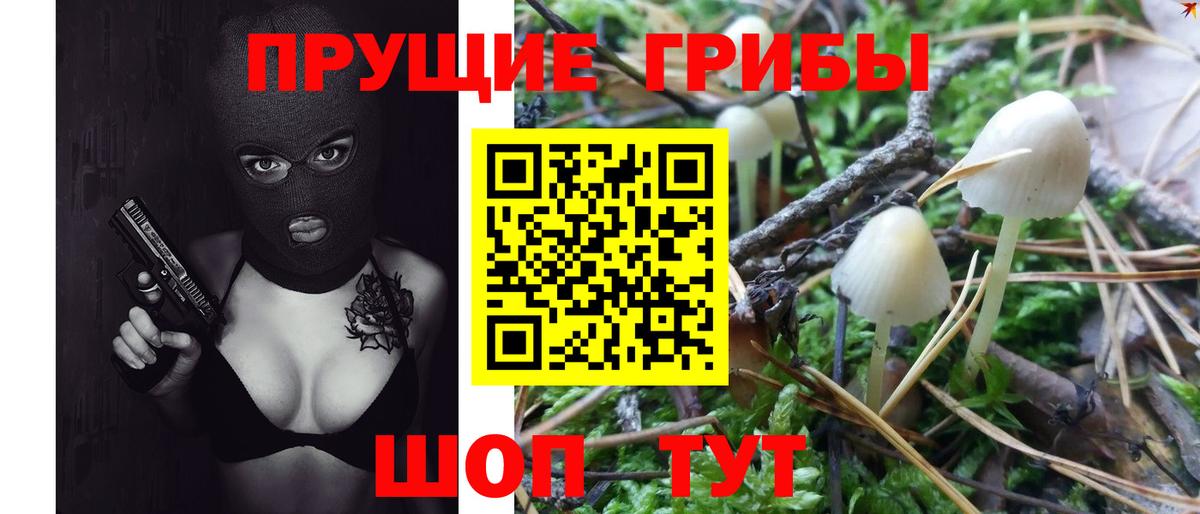 Галлюциногенные грибы Psilocybine cubensis  Вход с VPN  Мелеуз 